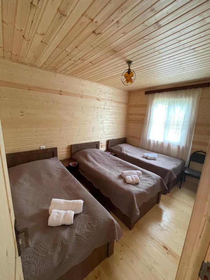 Warm House Guest House Kazbegi Exterior foto
